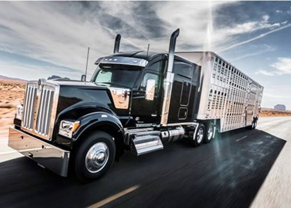 深圳到印度貨代電話-鑫漢物流