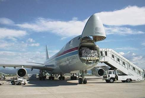 走空運(yùn)動物的物流