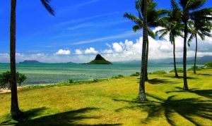 廣州到夏威夷國際物流：可靠的貨運解決方案-鑫漢物流